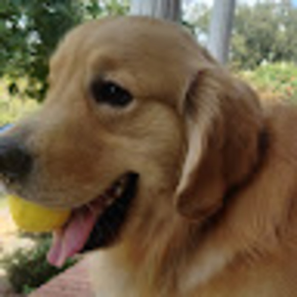 Meet your Posher, Greg - Picture 1 of 1